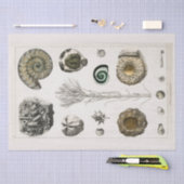 WEEFSELPAPIER :  FOSSIELKARAKTER : GOLDSMITH TISSUEPAPIER (Craft)