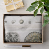 WEEFSELPAPIER :  FOSSIELKARAKTER : GOLDSMITH TISSUEPAPIER (Geschenk)