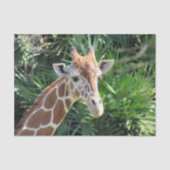Weefselpapier Giraffe Tissuepapier (Voorkant)