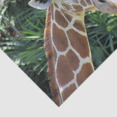 Weefselpapier Giraffe Tissuepapier (Detail)