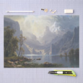 Weefselpapier in het meer van wilde natuur in Bier Tissuepapier (Craft)