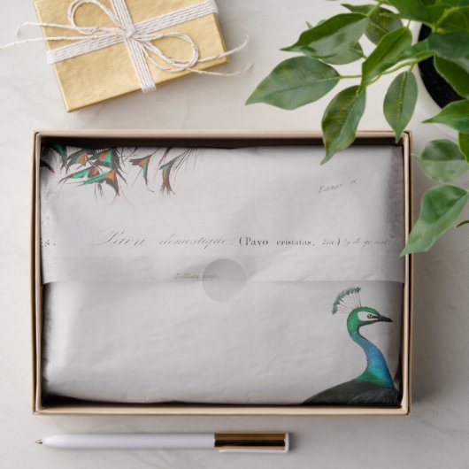 WEEFSELPAPIER:  INDIAN PEACOCK CHART TISSUEPAPIER (Geschenk)