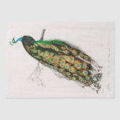 WEEFSELPAPIER:  INDIAN PEACOCK CHART TISSUEPAPIER (Voorkant)