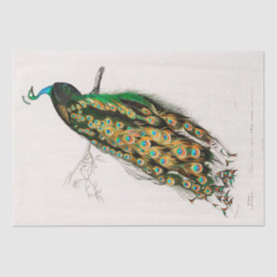 WEEFSELPAPIER:  INDIAN PEACOCK CHART TISSUEPAPIER
