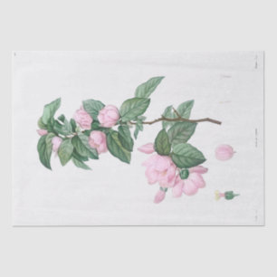 WEEFSELPAPIER : J.J. ROUSSEAU : BLEKE PINKSTROOM TISSUEPAPIER