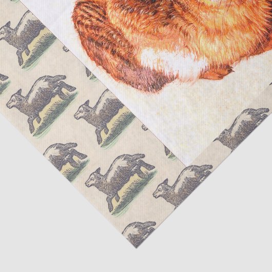 Weefselpapier - LAMB ALBRECHT DURER RABBIT Tissuepapier (Detail)