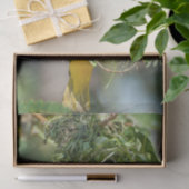 Weefselpapier met Afbeelding van de Weaver Bird Tissuepapier (Geschenk)