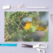 Weefselpapier met Afbeelding van de Weaver Bird Tissuepapier (Craft)