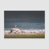 Weefselpapier met Afbeelding van Flamingos Tissuepapier (Voorkant)