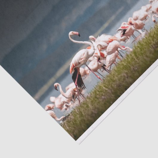 Weefselpapier met Afbeelding van Flamingos Tissuepapier (Detail)