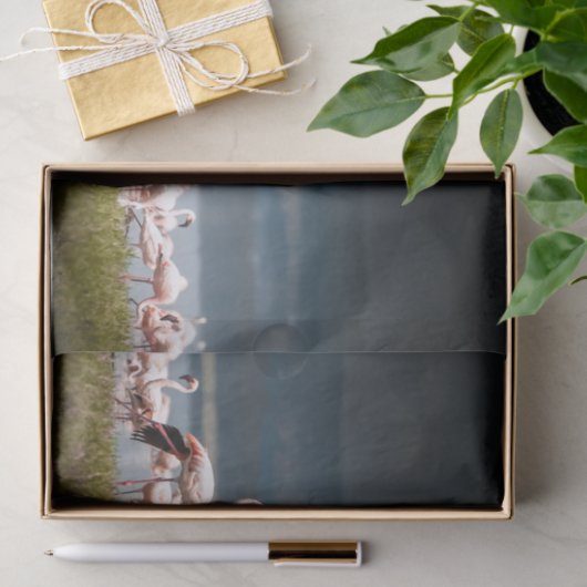 Weefselpapier met Afbeelding van Flamingos Tissuepapier (Geschenk)