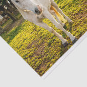 Weefselpapier met Afbeelding van het witte Arabisc Tissuepapier (Detail)