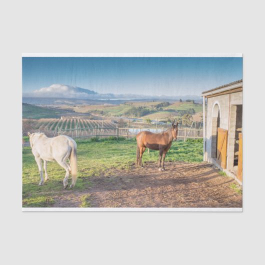 Weefselpapier met Afbeelding van paarden uit Arabi Tissuepapier (Voorkant)