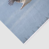 Weefselpapier met Afbeelding van Pelican in de vlu Tissuepapier (Detail)