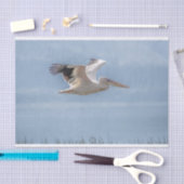 Weefselpapier met Afbeelding van Pelican in de vlu Tissuepapier (Craft)