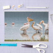 Weefselpapier met Afbeelding van pelikanen die ete Tissuepapier (Craft)