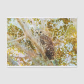 Weefselpapier met Barred Owl Tissuepapier (Voorkant)