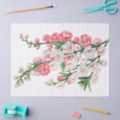 Weefselpapier met roze en witte ventilatoren tissuepapier (Craft)