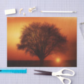 Weefselpapier met zonnescherm tissuepapier (Craft)