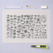 WEEFSELPAPIER : OLIVER GOLDSMITH : CONCHOLOGIE TISSUEPAPIER (Craft)