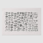 WEEFSELPAPIER : OLIVER GOLDSMITH : CONCHOLOGIE TISSUEPAPIER (Voorkant)