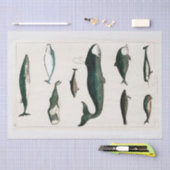 WEEFSELPAPIER : OLIVER GOLDSMITH : WALEN TISSUEPAPIER (Craft)