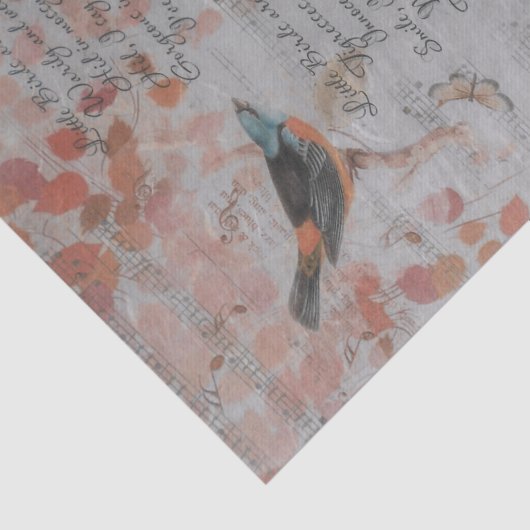 Weefselpapier ontkoppelen - Een lied zingen Tissuepapier (Detail)