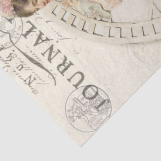 Weefselpapier ontkoppeling - Journal Paris Tissuepapier (Detail)