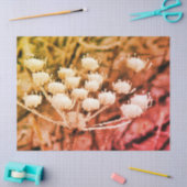 Weefselpapier + Ontkoppelpapier - Eerste keer bevr Tissuepapier (Craft)