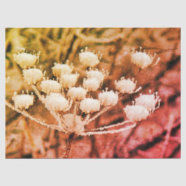 Weefselpapier + Ontkoppelpapier - Eerste keer bevr Tissuepapier