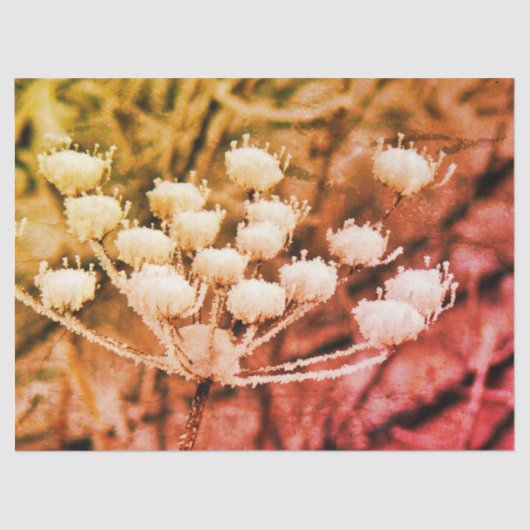 Weefselpapier + Ontkoppelpapier - Eerste keer bevr Tissuepapier (Voorkant)