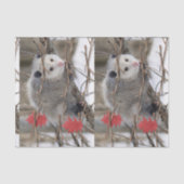 Weefselpapier Opossum Natuur Tissuepapier (Voorkant)