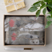 Weefselpapier Opossum Natuur Tissuepapier (Geschenk)