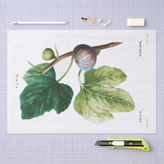 WEEFSELPAPIER : PIERRE ' JOSEPH REDOUTÉ : FIGS TISSUEPAPIER (Craft)