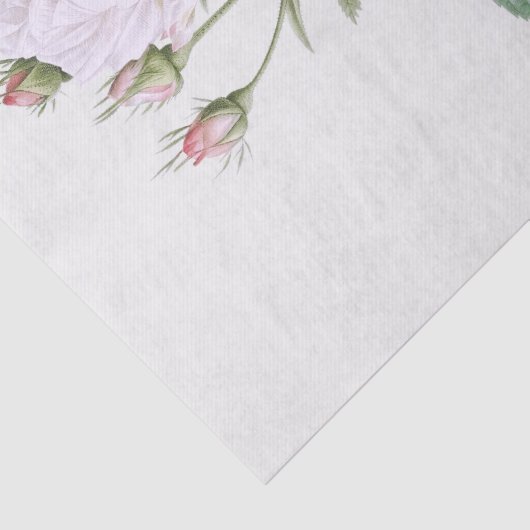 WEEFSELPAPIER : PIERRE ' JOSEPH REDOUTÉ : WITTE RO TISSUEPAPIER (Detail)