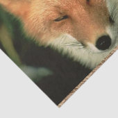 Weefselpapier, rode vos tissuepapier (Detail)