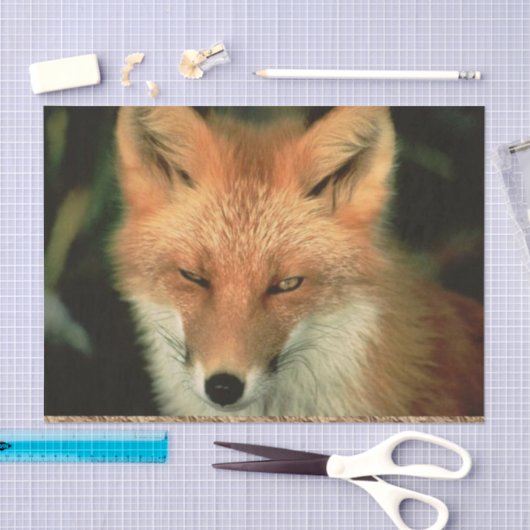 Weefselpapier, rode vos tissuepapier (Craft)