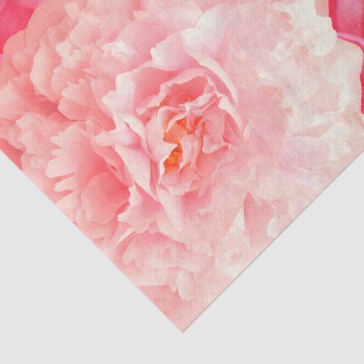 Weefselpapier Roze Peach Peonies Rozen Tissuepapier (Detail)