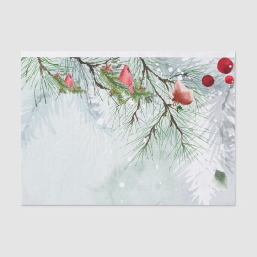 Weefselpapier Tissuepapier (Voorkant)