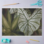 Weefselpapier Tissuepapier (Craft)