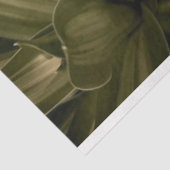 Weefselpapier Tissuepapier (Detail)