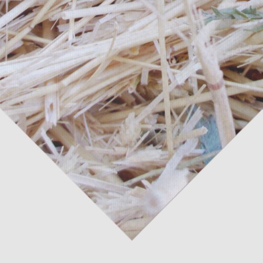 Weefselpapier Tissuepapier (Detail)