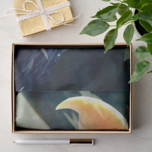 Weefselpapier Tissuepapier (Geschenk)