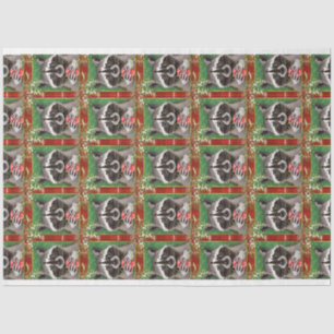 Weefselpapier Tissuepapier