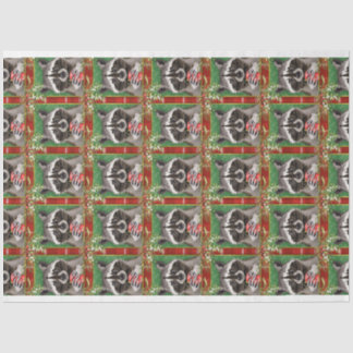 Weefselpapier Tissuepapier