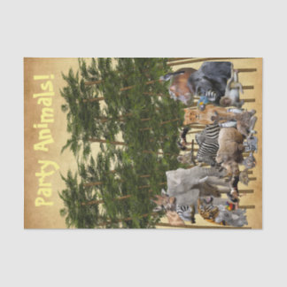 Weefselpapier Tissuepapier