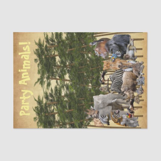 Weefselpapier Tissuepapier (Voorkant)