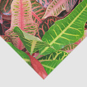 Weefselpapier Tissuepapier (Detail)