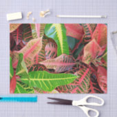 Weefselpapier Tissuepapier (Craft)