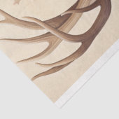 Weefselpapier Tissuepapier (Detail)